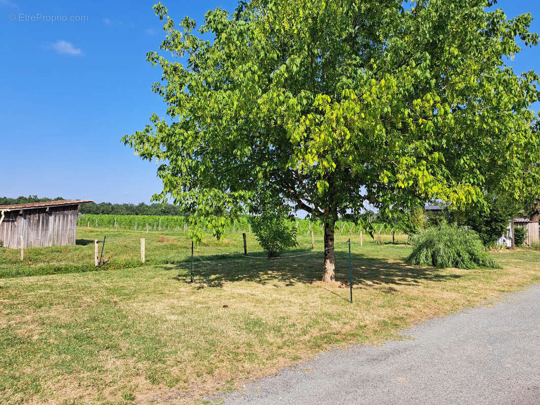 Maison à SAINT-MACAIRE