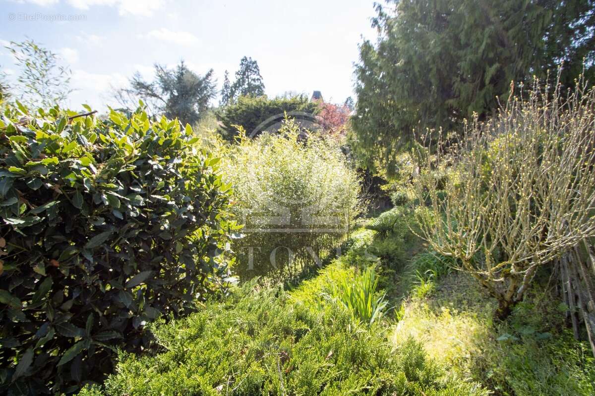 Terrain à VAUCRESSON
