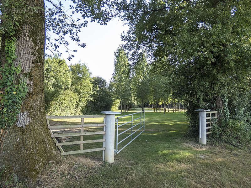 Terrain à NIEUL-LE-DOLENT