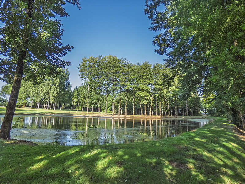 Terrain à NIEUL-LE-DOLENT