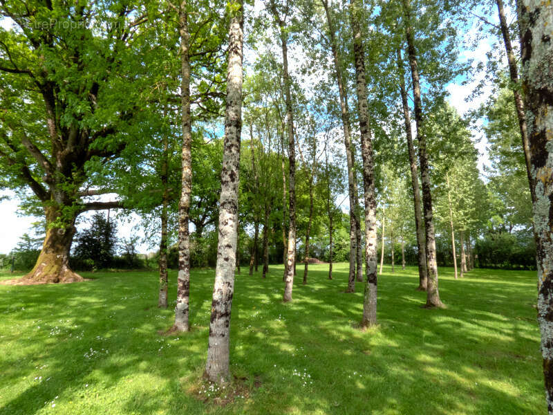 Terrain à NIEUL-LE-DOLENT