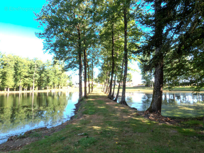 Terrain à NIEUL-LE-DOLENT