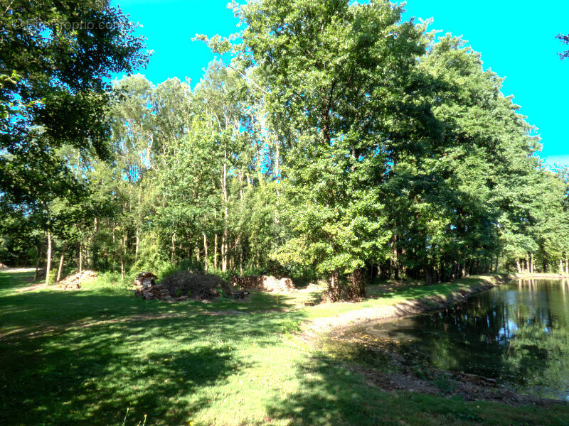 Terrain à NIEUL-LE-DOLENT