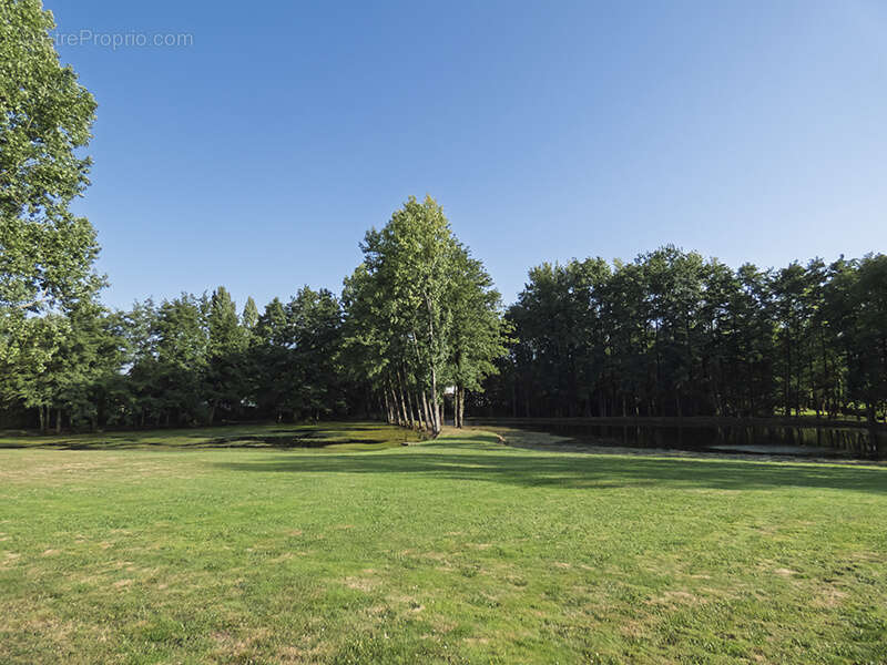 Terrain à NIEUL-LE-DOLENT