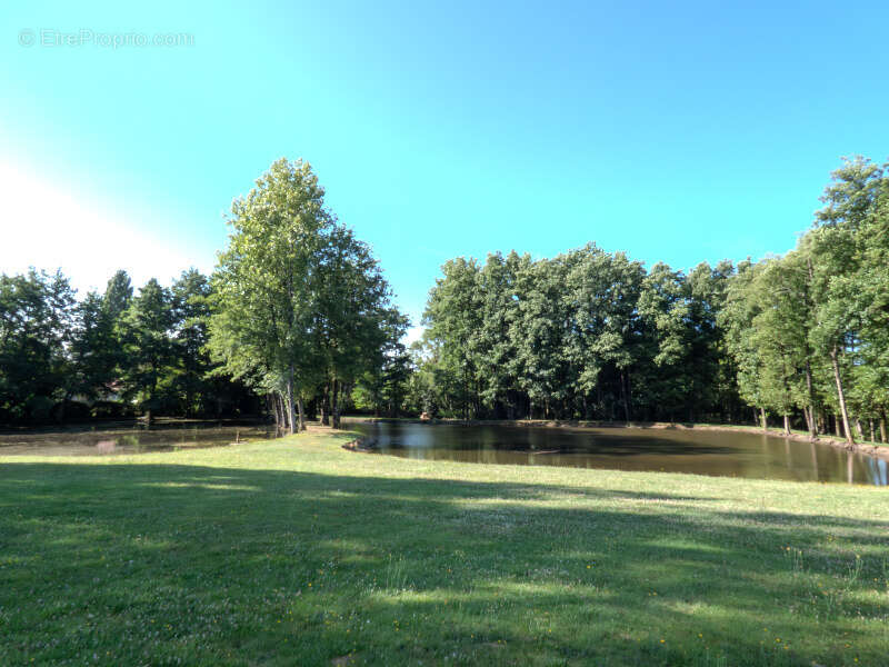 Terrain à NIEUL-LE-DOLENT
