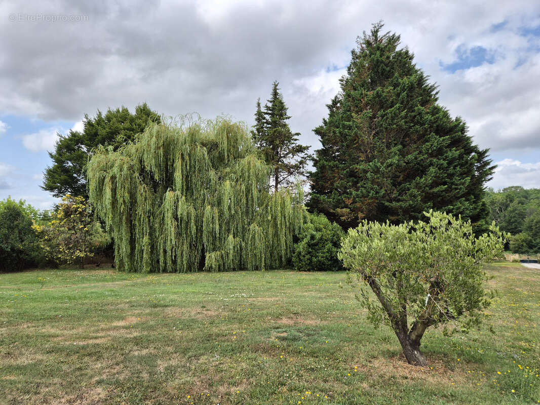 Maison à SAUVETERRE-DE-GUYENNE