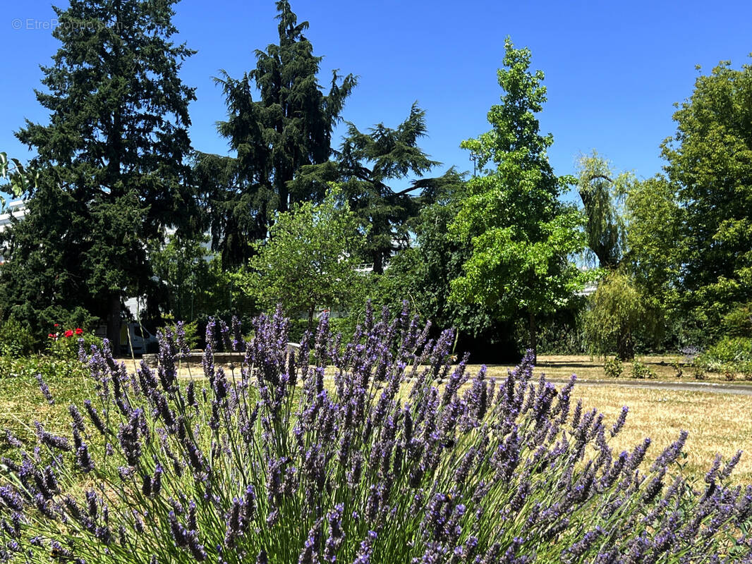 Appartement à TOURS