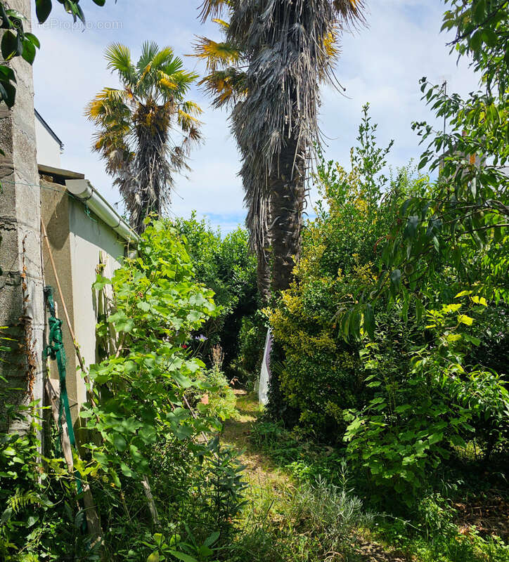 Terrain à LA FORET-FOUESNANT