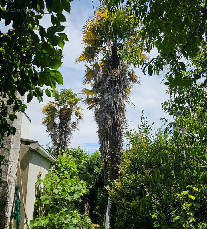 Terrain à LA FORET-FOUESNANT
