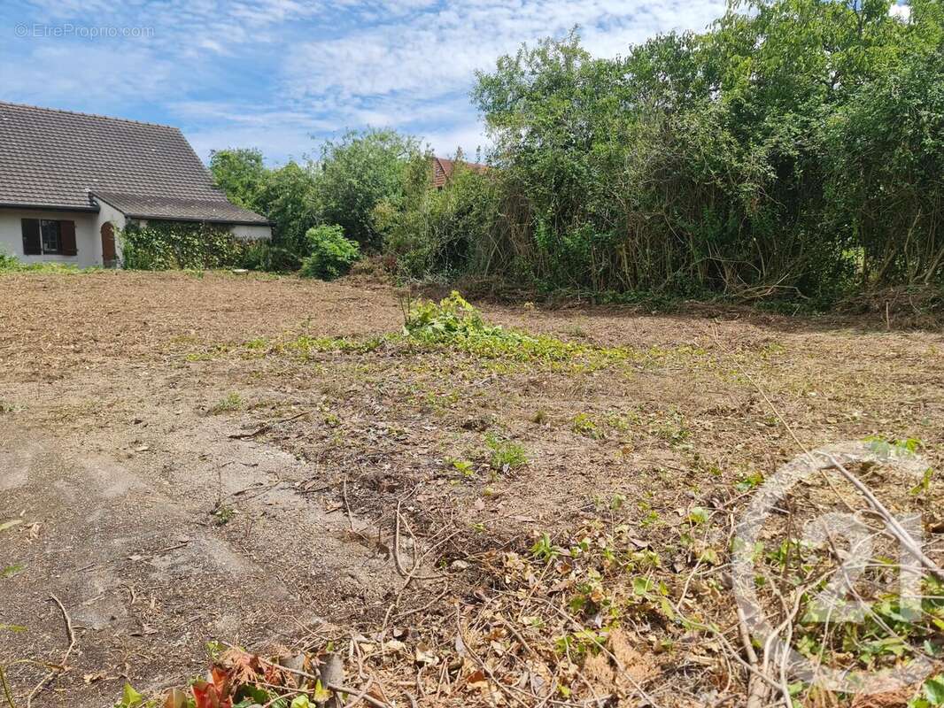 Terrain à THORIGNY-SUR-MARNE