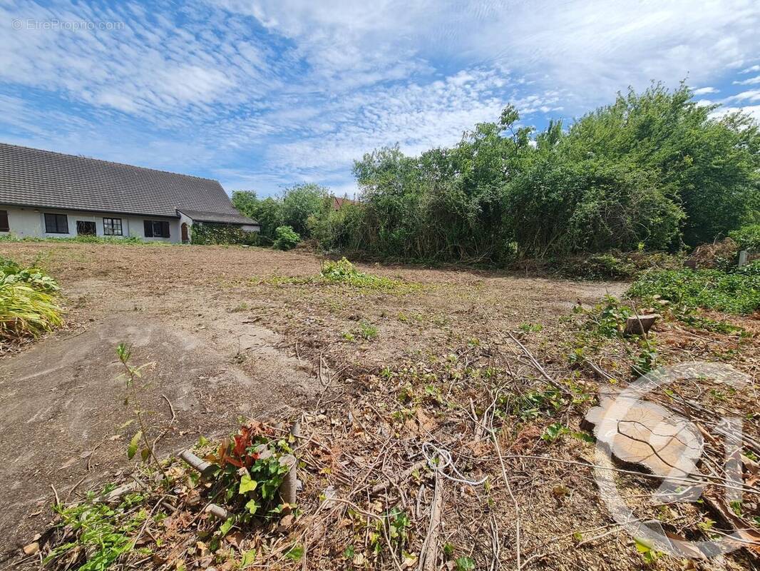 Terrain à THORIGNY-SUR-MARNE