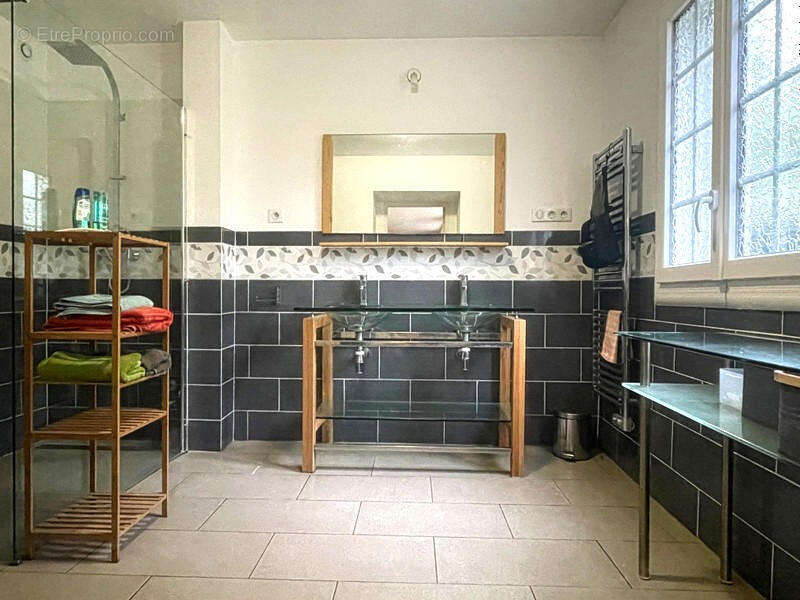 GITE - Maison à ASNIERES-SUR-BLOUR