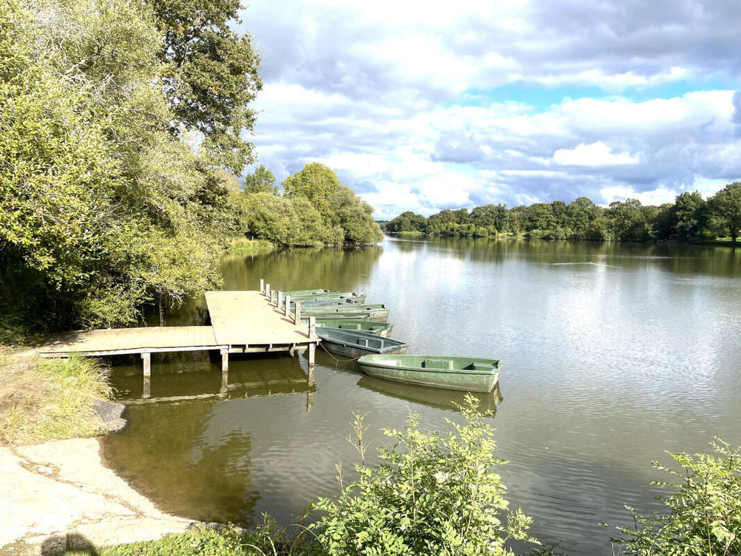 LAC - Maison à ASNIERES-SUR-BLOUR