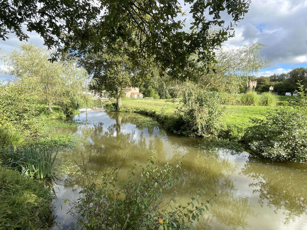 OVERVIEW - Maison à ASNIERES-SUR-BLOUR