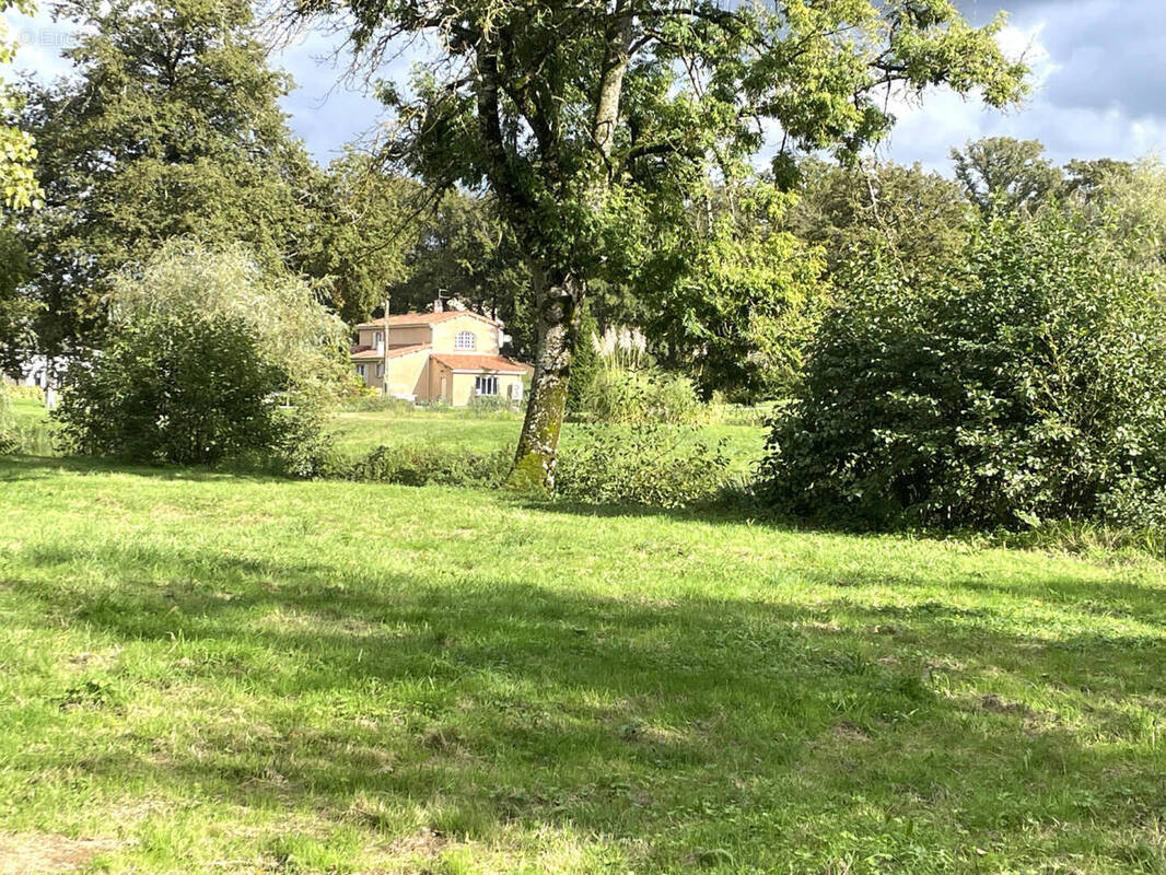 OVERVIEW - Maison à ASNIERES-SUR-BLOUR