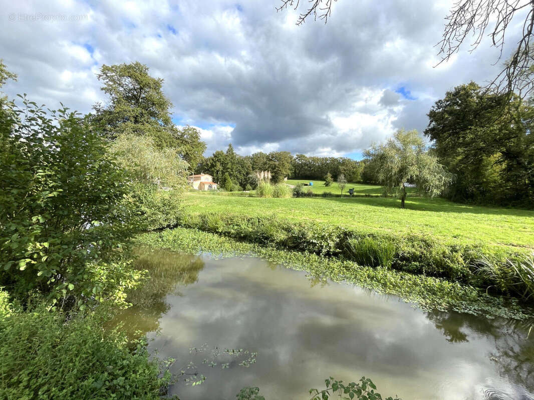 OVERVIEW - Maison à ASNIERES-SUR-BLOUR