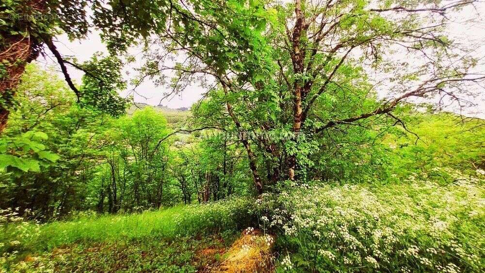 Maison à LABASTIDE-ROUAIROUX