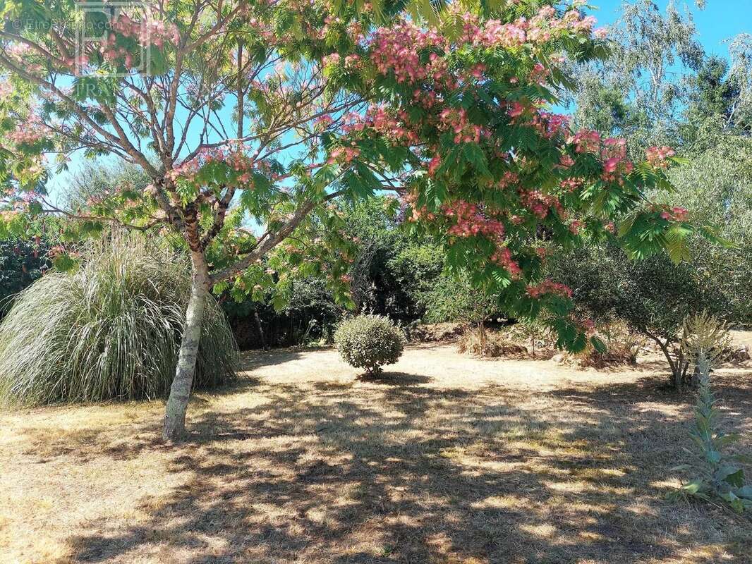 Maison à LA CHAPELLE-FAUCHER