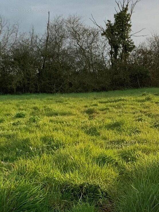 Terrain à COMMEQUIERS