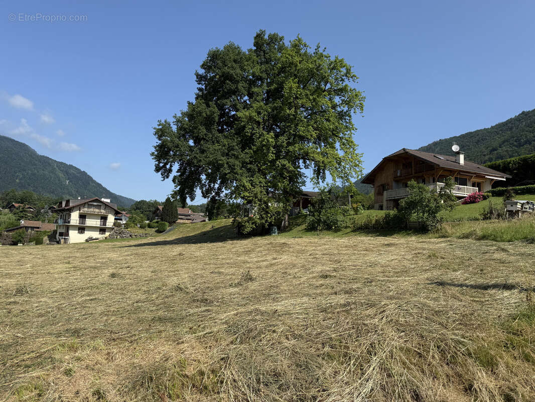 Terrain à MARIGNIER