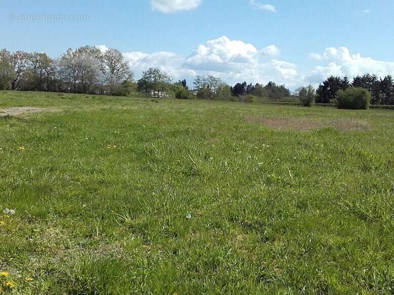 Terrain à TOULON-SUR-ARROUX