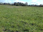 Terrain à TOULON-SUR-ARROUX