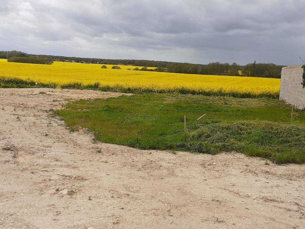 Terrain à CHATEAUNEUF-EN-THYMERAIS