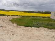 Terrain à CHATEAUNEUF-EN-THYMERAIS
