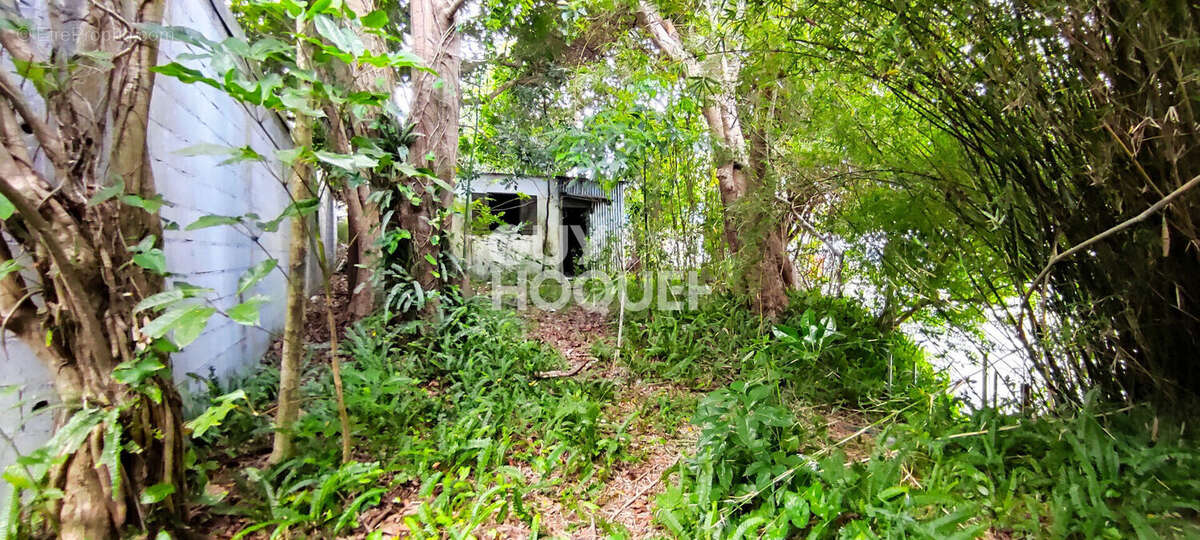 Terrain à SAINT-PIERRE