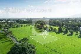 Terrain à COULANGES-LES-NEVERS