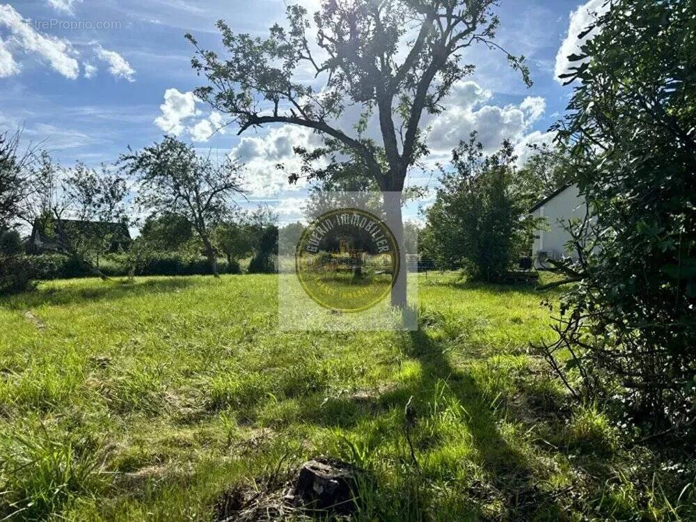 Terrain à COULANGES-LES-NEVERS