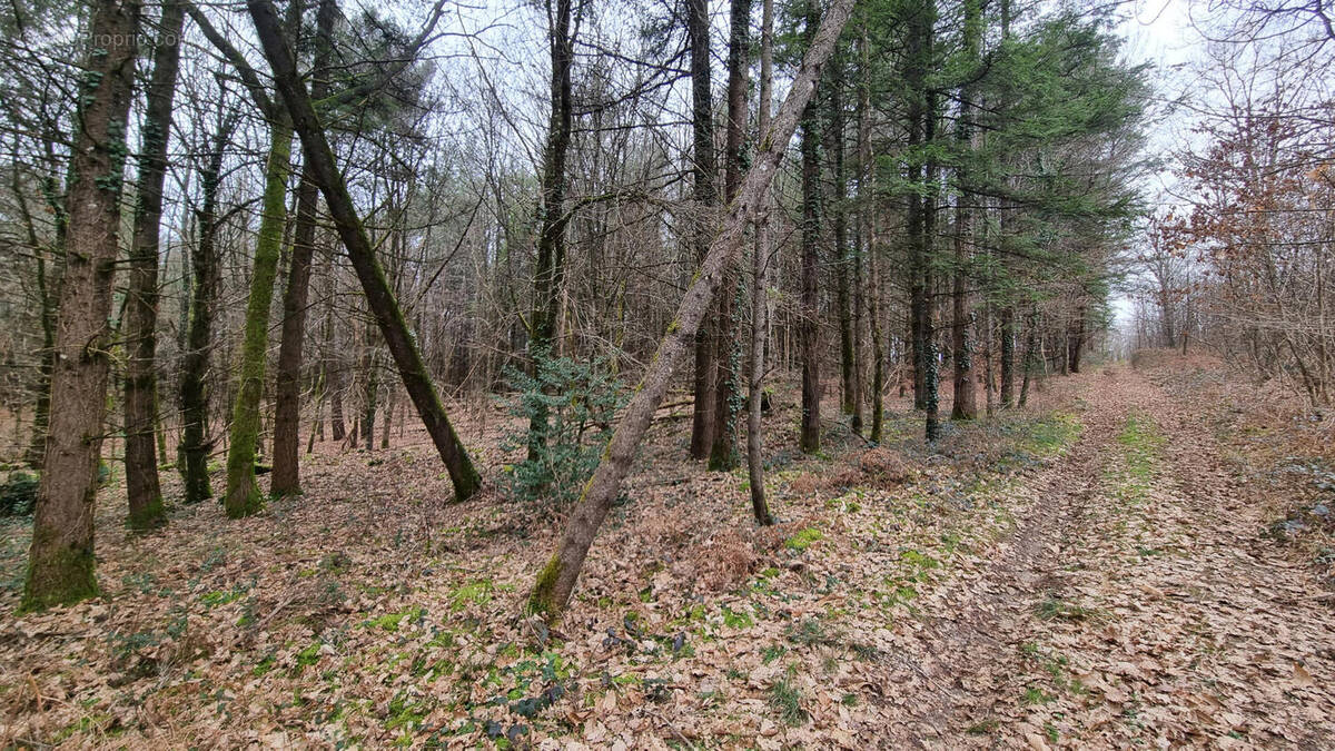 20240221_145208 - Terrain à VARAIGNES