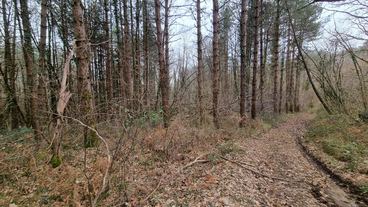 20240221_150516 - Terrain à VARAIGNES