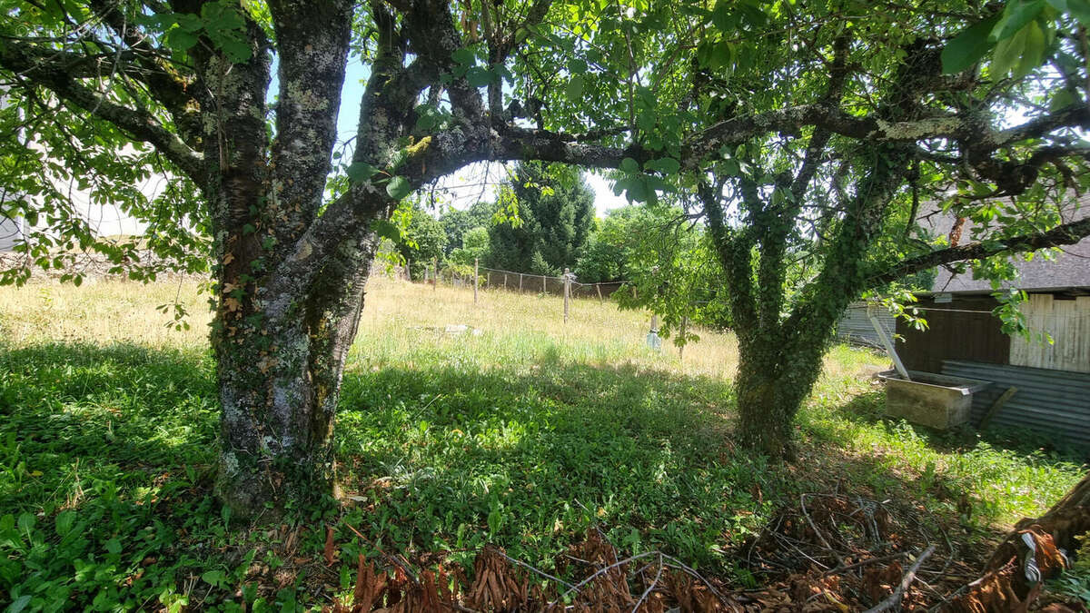 20250701_142159 - Maison à PIEGUT-PLUVIERS