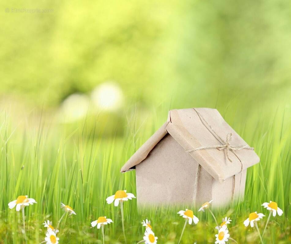 Terrain à ABERGEMENT-LA-RONCE