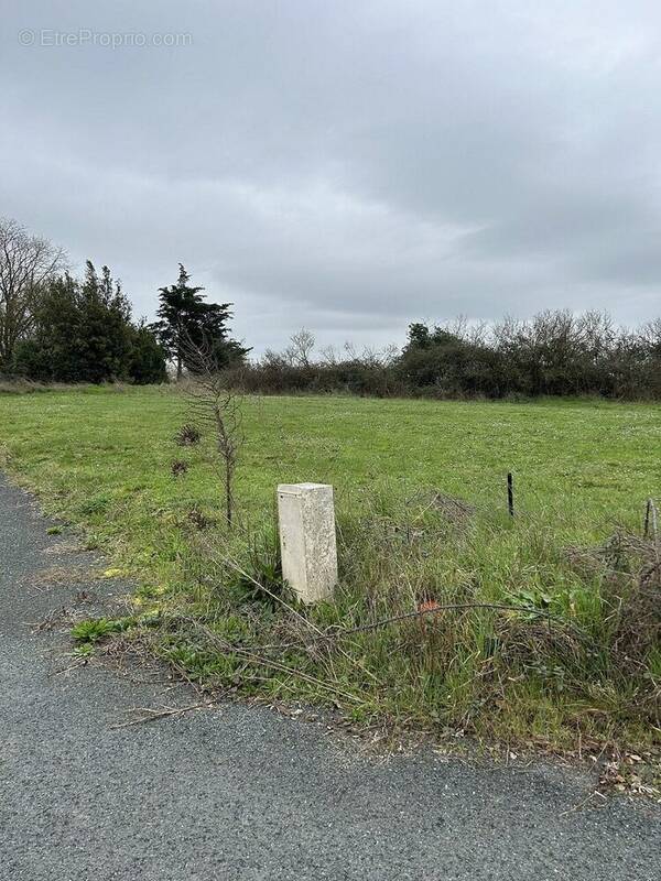 Terrain à AVRILLE