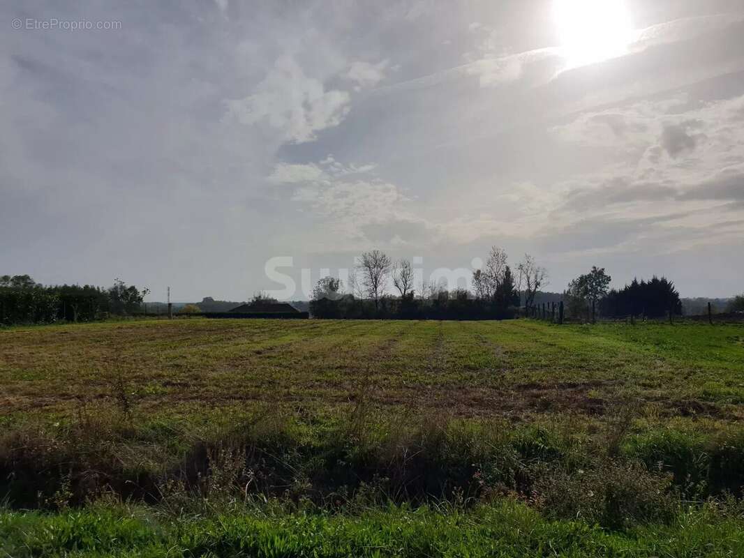 Terrain à BLETTERANS