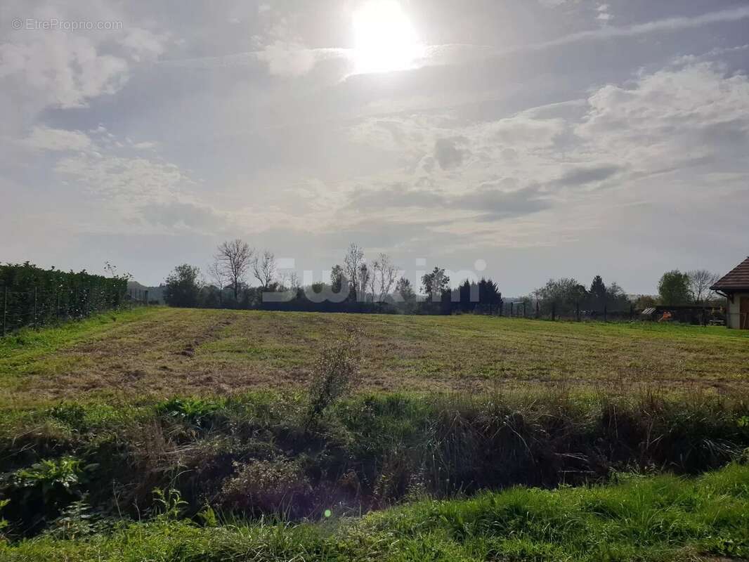 Terrain à BLETTERANS