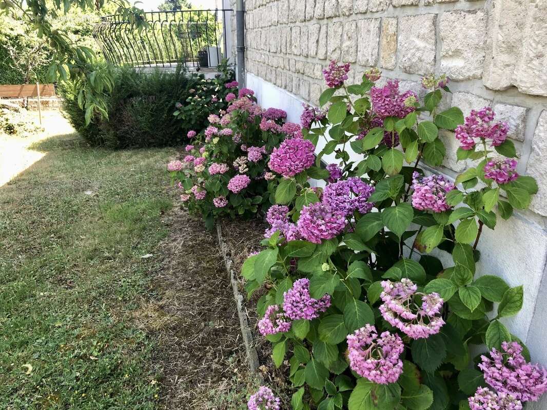 Maison à AVAILLES-LIMOUZINE