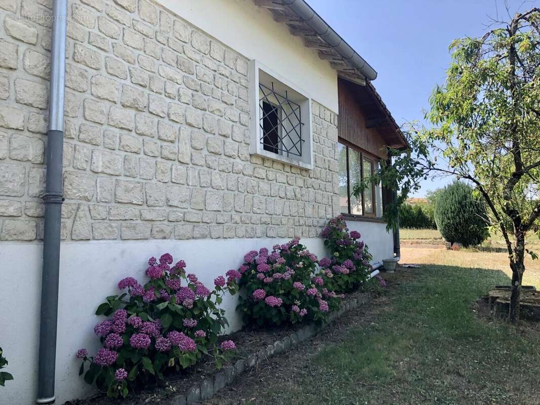 Maison à AVAILLES-LIMOUZINE