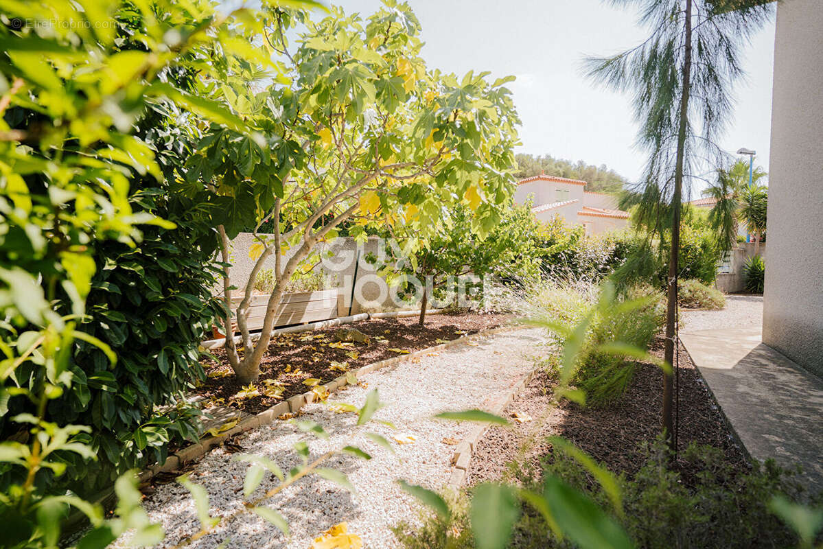 Maison à VILLENEUVE-DE-LA-RAHO