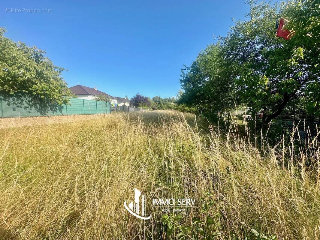 Terrain à BERTRANGE