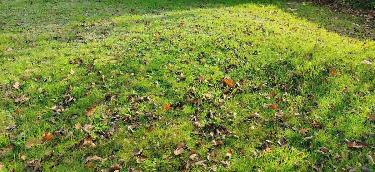 Terrain à SAINT-AIGNAN-GRANDLIEU