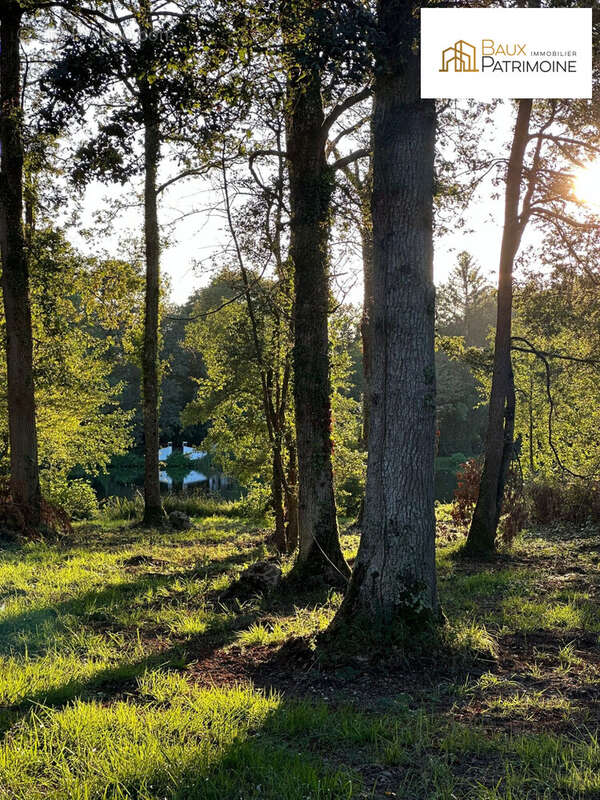 Terrain à BAZOCHES-SUR-LE-BETZ