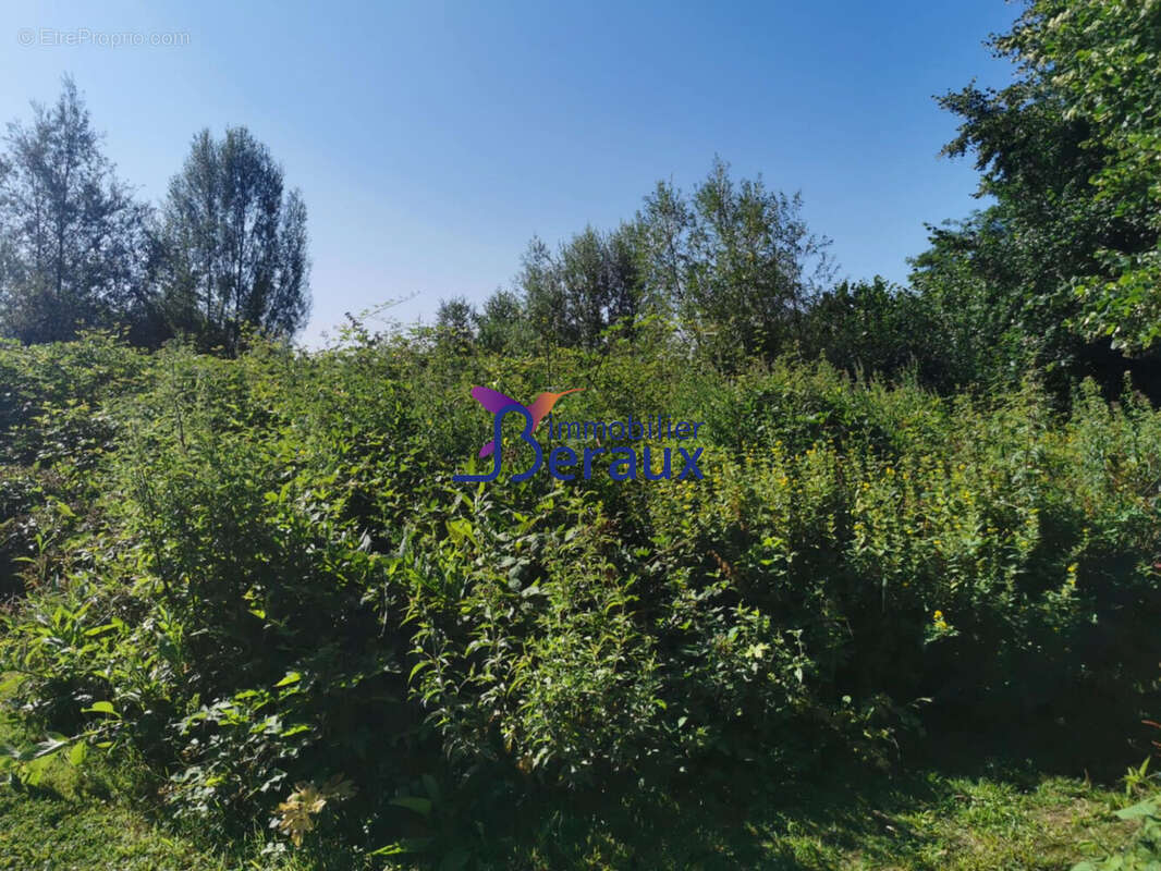 Terrain à DUCLAIR