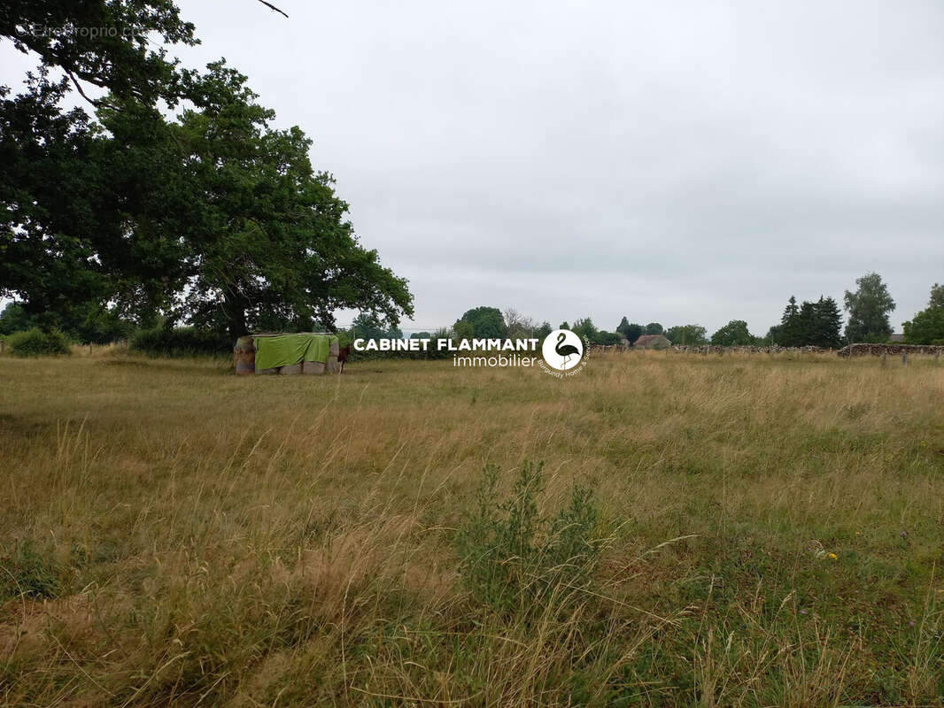 Terrain à SEMUR-EN-AUXOIS