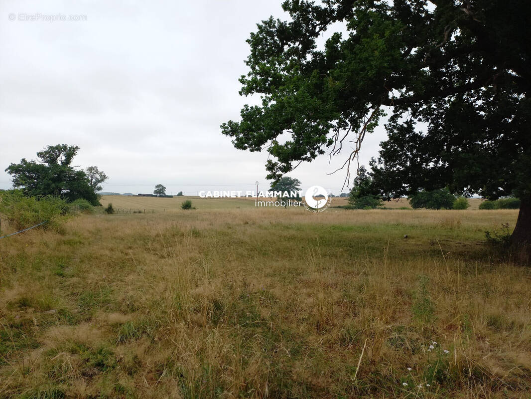 Terrain à SEMUR-EN-AUXOIS