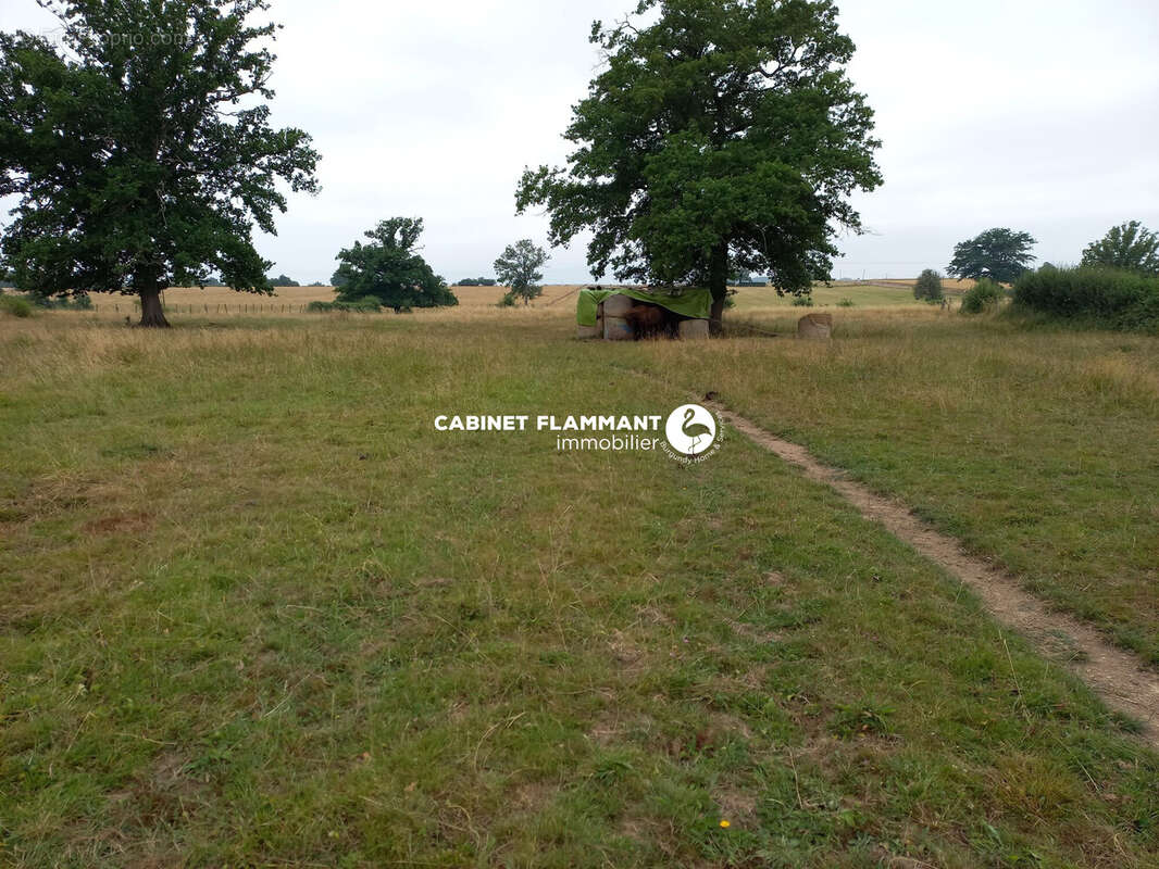 Terrain à SEMUR-EN-AUXOIS