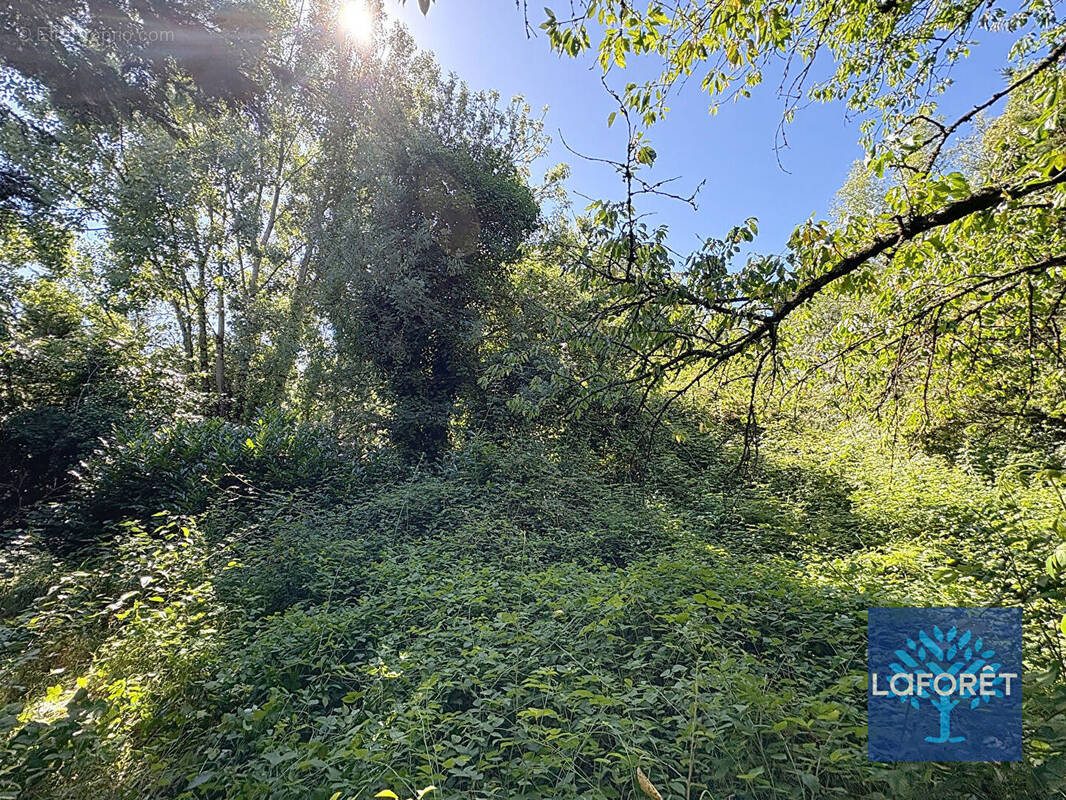 Terrain à LE LANGON