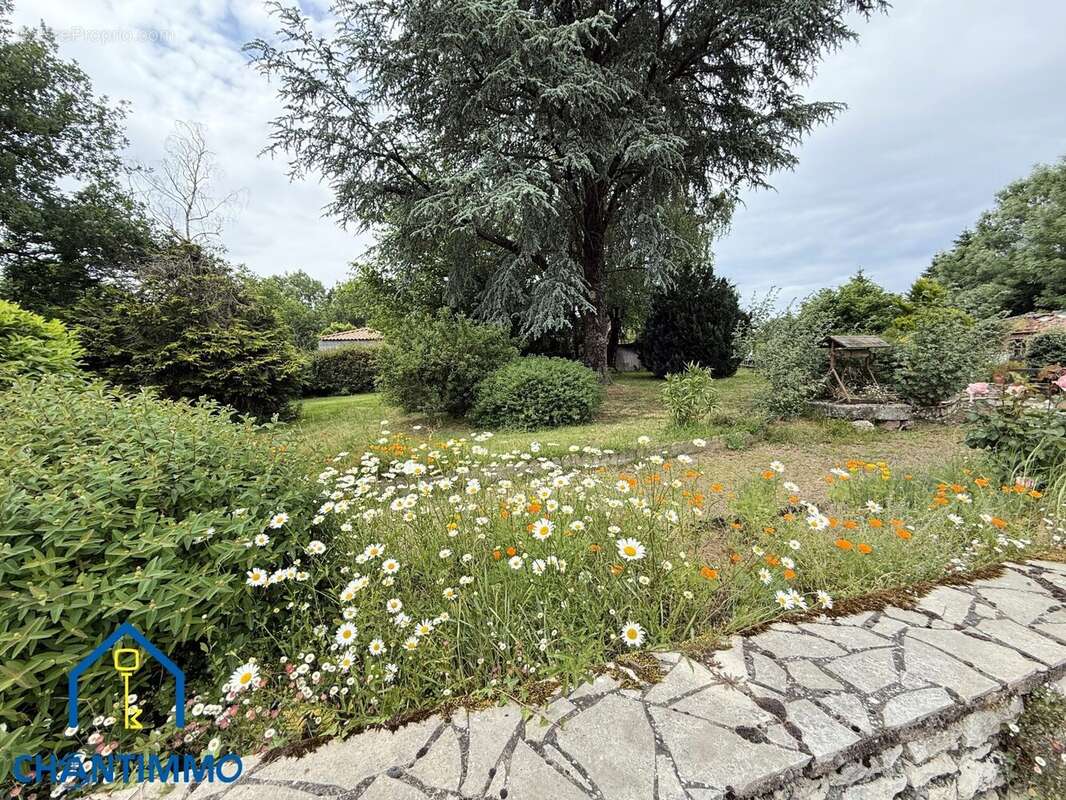 Maison à LA CHATAIGNERAIE